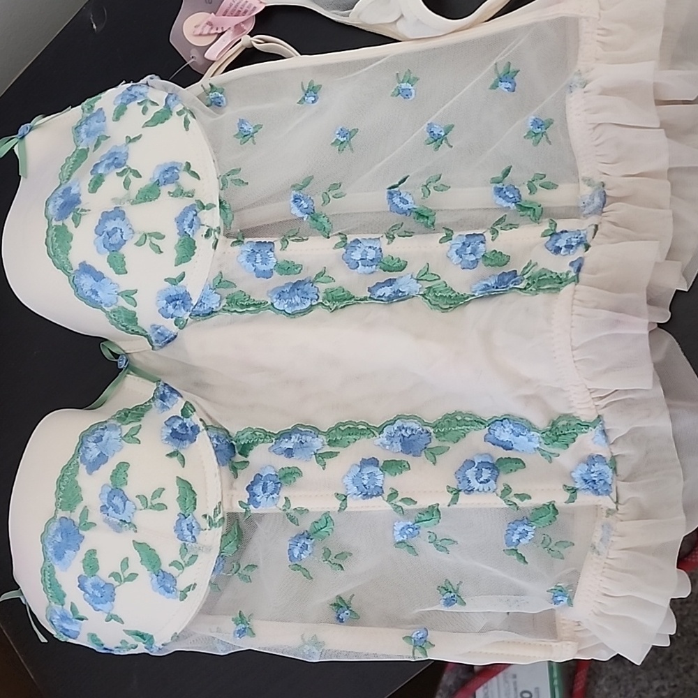Sophie B. Blue Floral Embroidered Corset Lingerie
